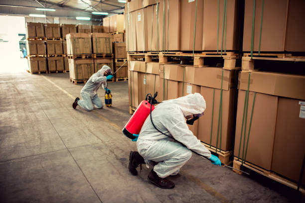 Best Residential Pest Control  in Manila, AR