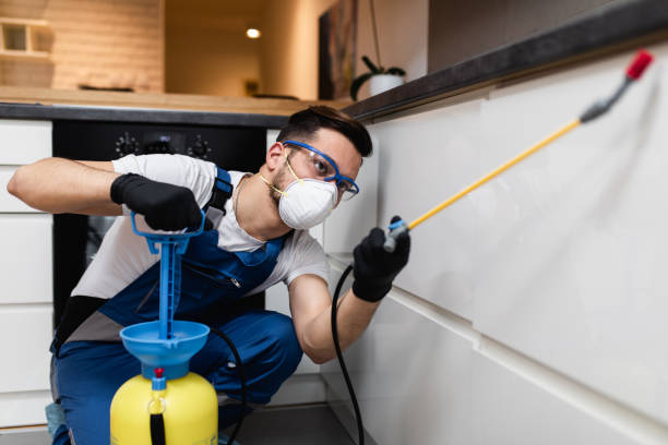 Best Best Pest Control Companies  in Manila, AR