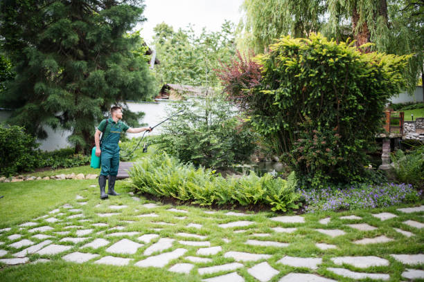 Best Local Pest Control Services  in Manila, AR